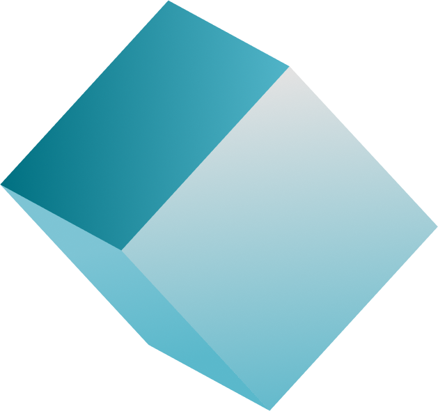 Custom icon